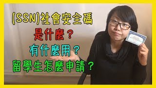SSN社會安全碼是什麼？有什麼用？留學生怎麼申請？【美國留學／生活 #27】