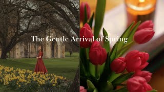 Finding Happiness in Nature | A gentle arrival of spring | Slow living in English Countryside Resimi