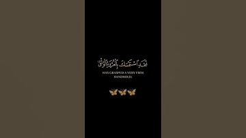 سورة البقرة / القارئ احمد خضر / تلاوة خاشعة تريح سمعك