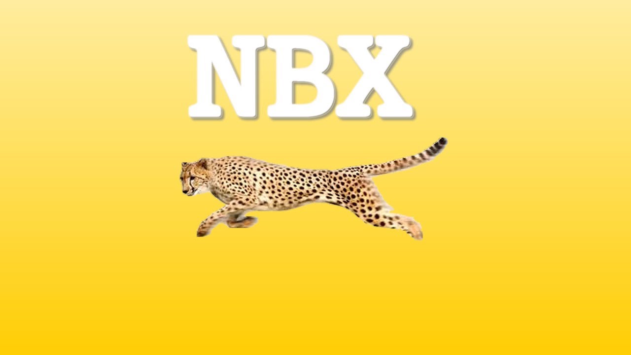 NBX - [Instrumental #8]