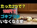 ニンニク1片と重曹でゴキブリを退治――薬いらずの安心法|賢いトリック