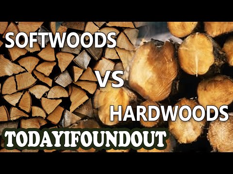 Video: Wat is hardehoutbome - Harwood vs. Sagtehoutboomsoorte