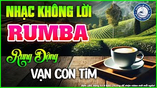 Nhạc Không Lời Buổi Sáng Rung Động Vạn Con Tim | Hòa Tấu Rumba Guitar | Nhạc Cafe Buổi Sáng