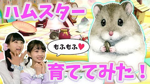 ちゃおチャンネル 公式 Ciao Youtube