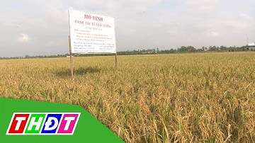 Năm 2021, ngành nông nghiệp phấn đấu đạt tăng trưởng GDP từ 2,7 -3% | THDT