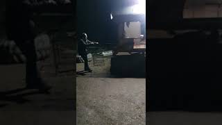 The Working Bull Terrier Collar During Protection Work