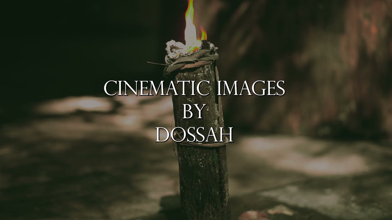 Gabon: forest and culture