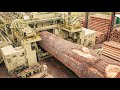 Inside a Massive Sawmill Factory – Complete Plywood Manufacturing Process