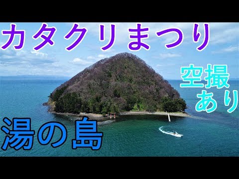 【青森市】湯の島カタクリまつり　百花繚乱!?【浅虫】4K60P 空撮あり
