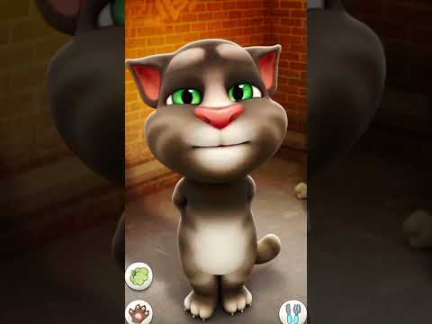 Talking tom funny fart 🤣 | Fart funny | Tom funny | #funny #talkingtom #tom #tomfunny #fart #shorts