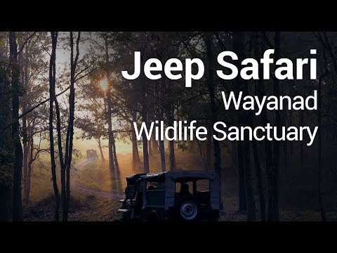 Jeep Safari at Wayanad Wildlife Sanctuary