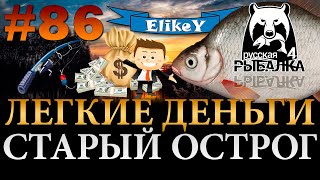 Легкий Заработок! • Уехал за Густерой • Рыбалка на Фидер • Старый Острог • Русская Рыбалка 4 #86