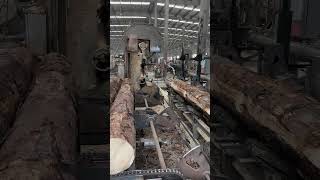 Woodworking Heavy Sawmill Cutting Wood