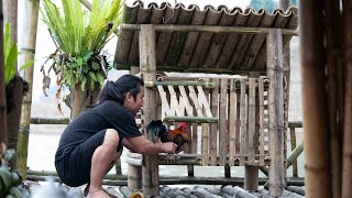 : Making Bamboo Chicken Coop, Fishing, Cooking: River Survival | EP.444