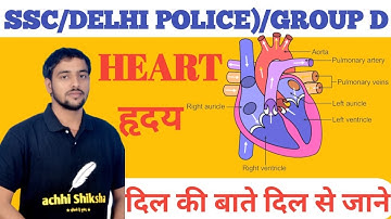 ह्रदय कैसे काम करता है ? ह्रदय की संरचना एवं कार्य | Human Heart & Its Function in Hindi