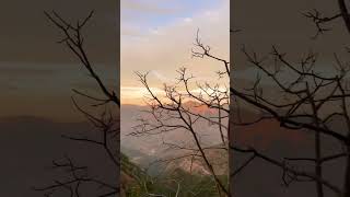 Camel back road mussoorie #travel #nature #mussoorie #mountains #mesmerizing #calm #greenery #peace