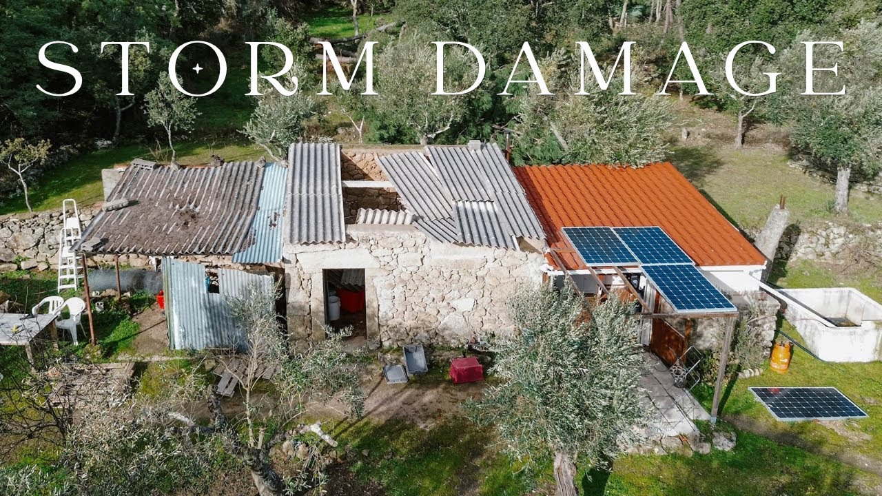 Trying to Find Calm Amidst the Chaos | Portugal Storms