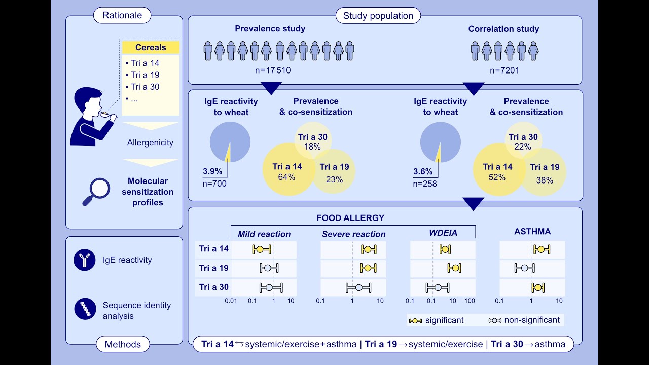 ALLERGY, European Journal of Allergy and clinical Immunology 2025 00616 'Cereal Allergy'