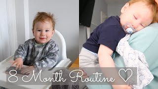 8 MONTH DAY IN THE LIFE | Baby Chase Routine