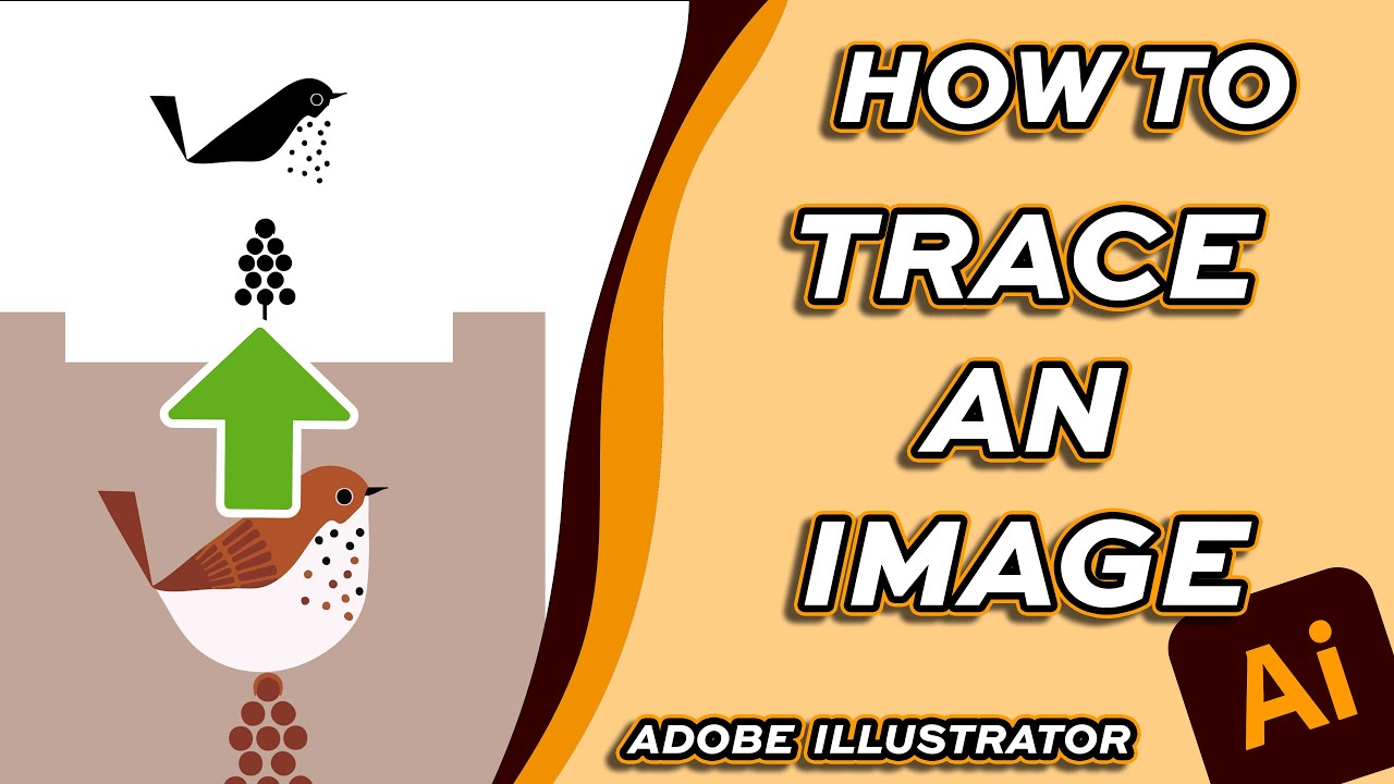 How to Trace an Image and Keep the Original Colors in Adobe Illustrator ...