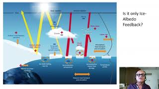 8   Polar Amplification   Past and Present