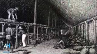 American Artifacts Preview: U.S. Exploring Expedition of 1838-1842