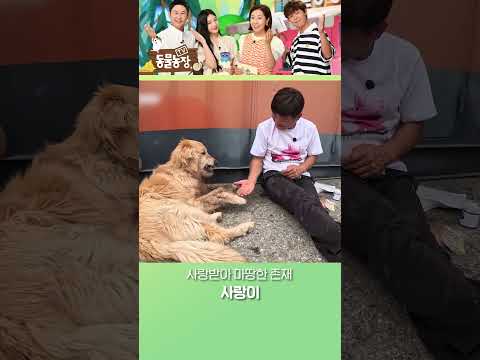 #<strong>TV동물농장</strong>