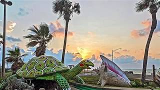Magic Carpet Golf - About Us!