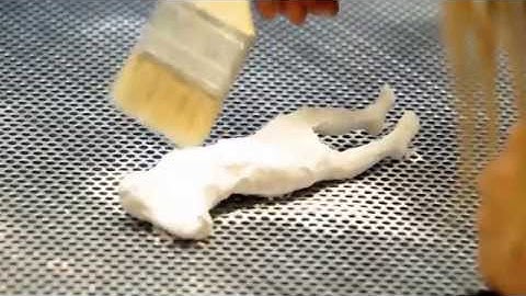 Full Body Scanning with Artec Eva 3D Scanner