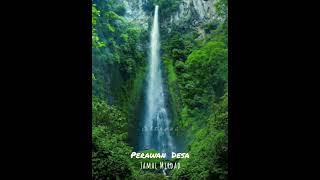 Download Lagu Perawan Desa Dipopulerkan Oleh Jamal Mirdad MP3