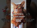 خطوات انهاء العلاقات المحرمة Shorts Subscribe خطوات انهاء العلاقات المحرمة Shorts Subscribe