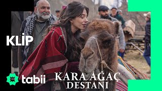 Babamın Yarım Bıraktığı İşi Tamamlamaya Geldim Kara Ağaç Destanı 1. Bölüm