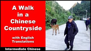 A Walk in The Chinese Countryside - Lower Intermediate Chinese - Chinese Conversation - HSK 3 /HSK 4 screenshot 5