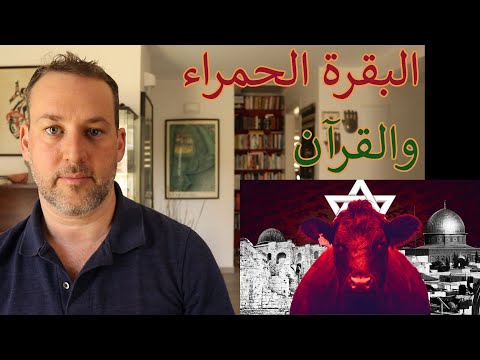 جدال البقرة الحمراء والقرآن