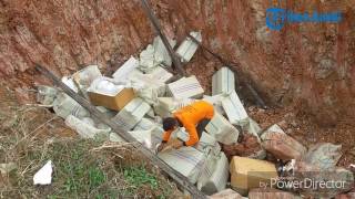 4,7 Ton Daging Trenggiling Beku Dimusnahkan
