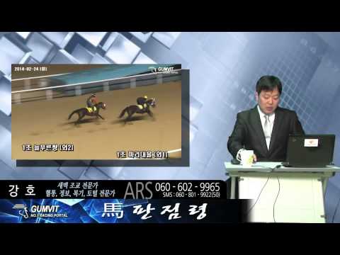 2014.02.24 서울경마 새벽훈련 우수마(추천,복기) 강호의 마(馬)판점령!