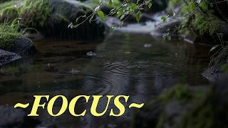 Flowing Water Through Green Nature  Deep Calm  No Ads 2h speed 0 92