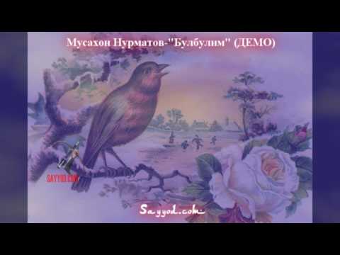 Тобит Минган Отам Кушиги скачать mp3