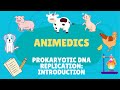 PROKARYOTIC DNA REPLICATION INTRODUCTION ┃EASY EXPLAINED┃