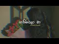 තනිවෙලා මා | Slowed+Reverb | Thaniwela Ma|