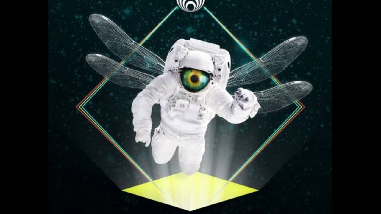 Bassnectar & LUZCID - Music is the Drug