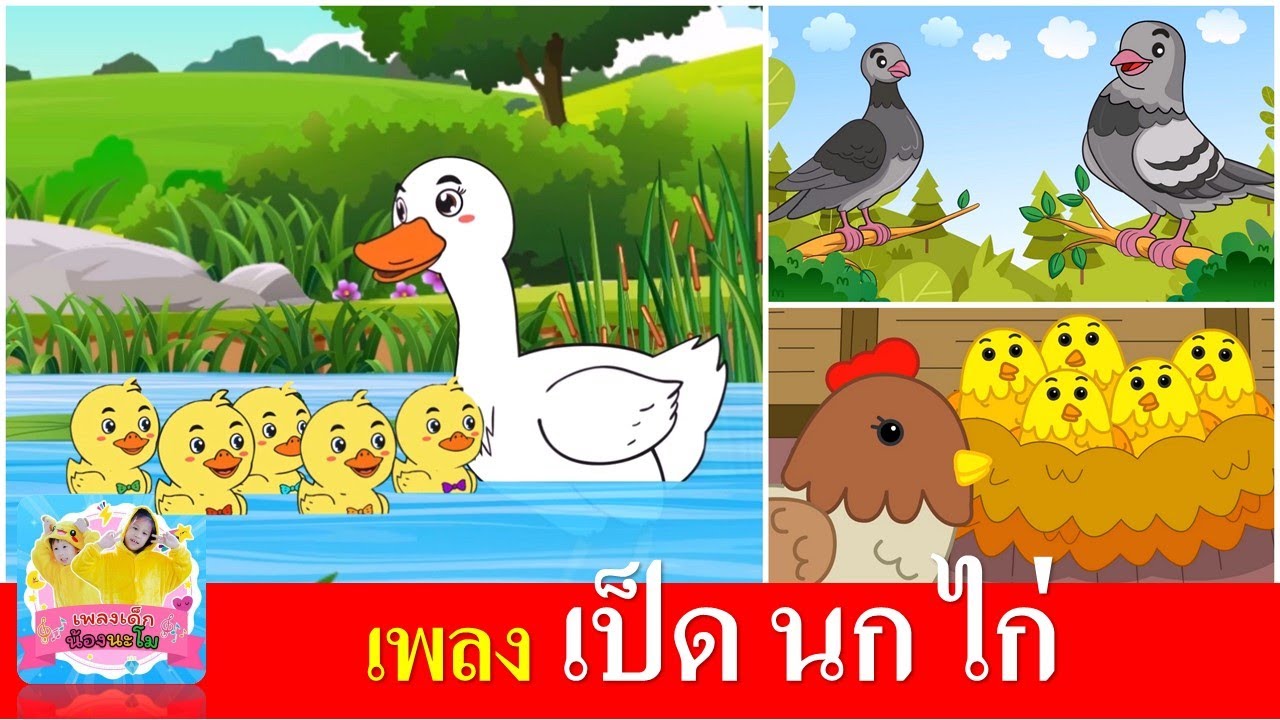 เพลงเด็ก เป็ด นก ไก่ | เป็ดอาบน้ำในคลอง | นกเขาบินข้ามเขา | ไก่กุ๊กกุ๊กไก่