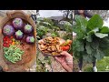 I dont want to work anymore i just want to farm  garden to table harvesttok compilation