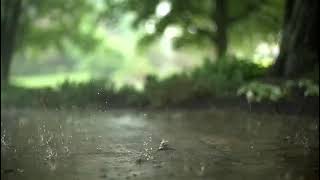 Meditation Relaxing Peaceful Music ,With Rain drops and Greenery. Music for good sleep at night.
