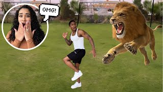 QUAN ALMOST GOT ATTACKED BY A LION! *SCARY*