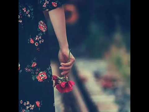 شيلاك فى نن عينى