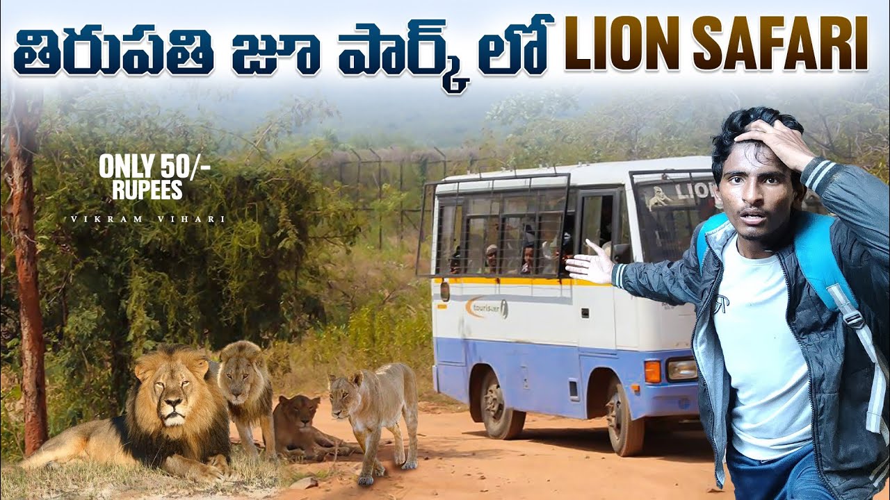 Tirupathi zoo park 🐅🦁|| Sri Venkateswara zoological park || Vikram vihari