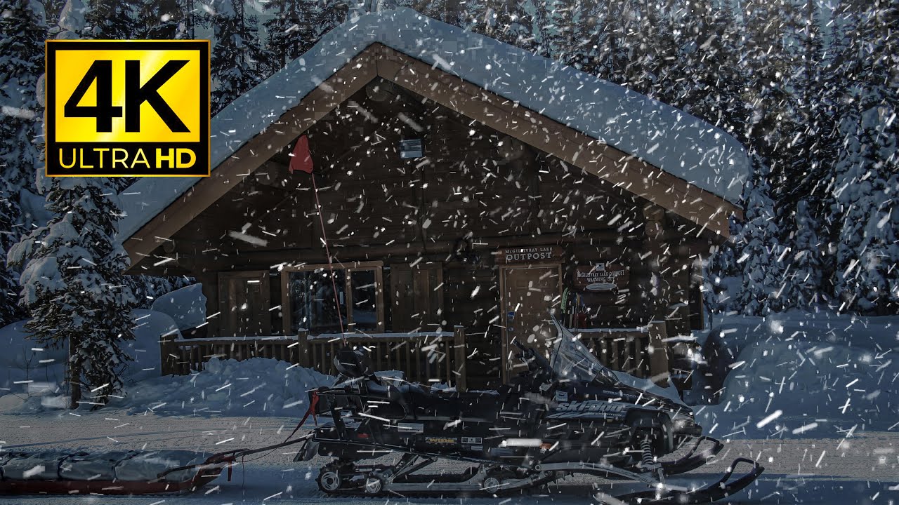 Ultimate Blizzard, Snowstorm & Wind Sounds for Sleep | Winter Storm ...