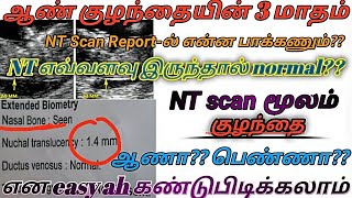 Boy Baby NT Scan Reports in Tamil // How To Find Boy Baby Gender Using Scan Report // Pregnancy Tips