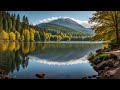 Beautiful relaxing ambient music for stress relief  stress relief music for relaxation
